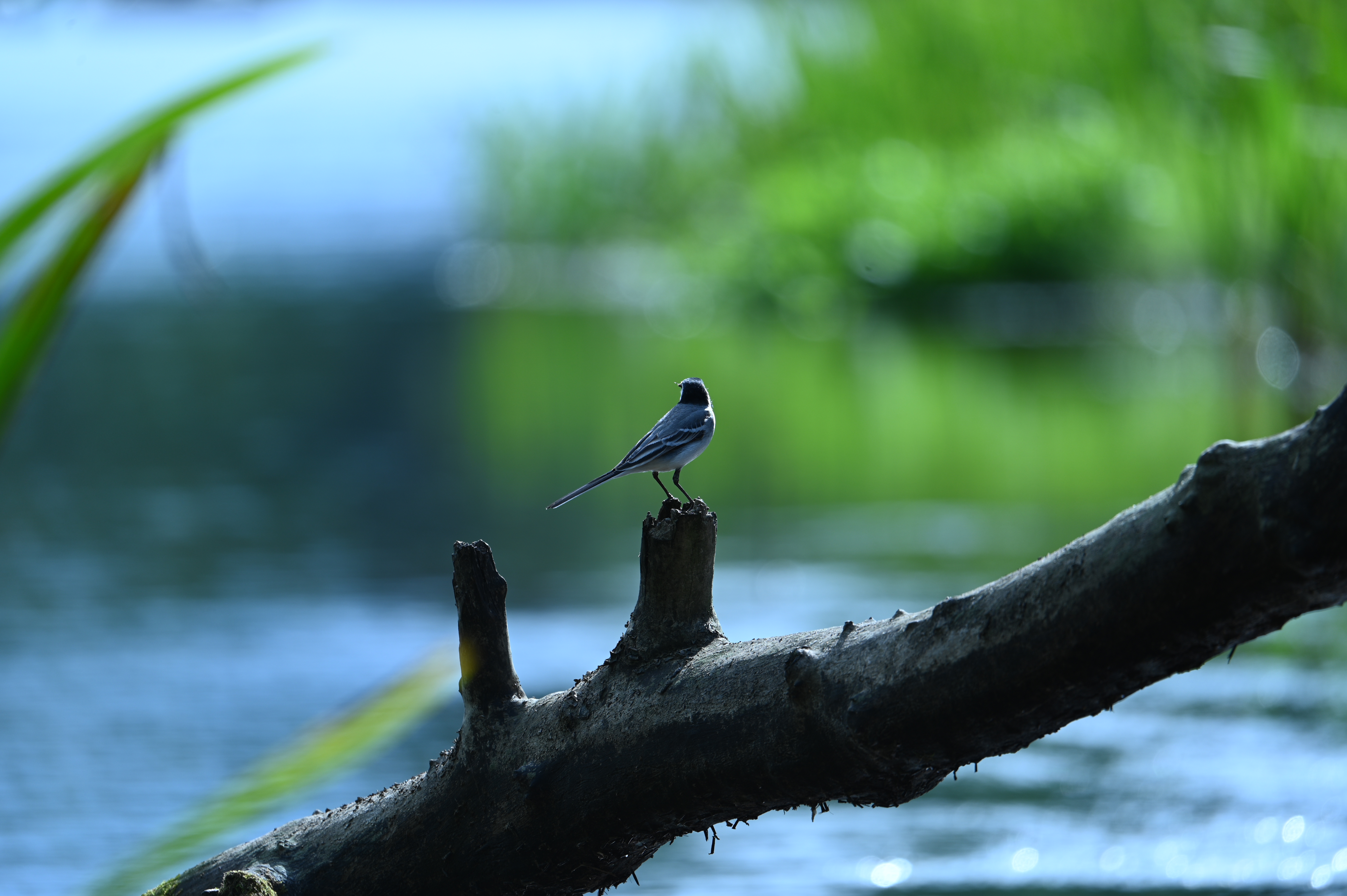 2025/07/09-14 - trip/DSC_0334.JPG